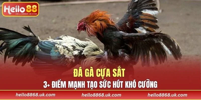Đá Gà Cựa Sắt