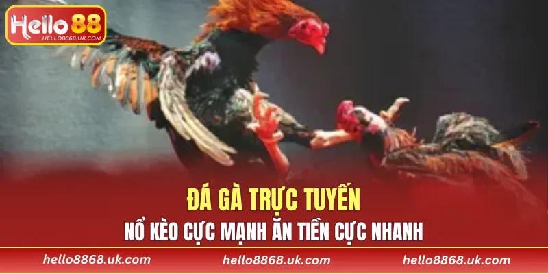Đá Gà Trực Tuyến