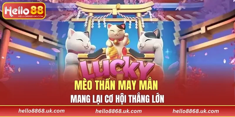 Neko May Mắn