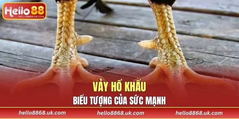 Vảy Hổ Khẩu